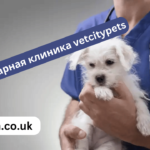 ветеринарная клиника vetcitypets