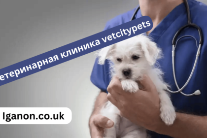 ветеринарная клиника vetcitypets