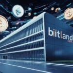 biitland.com stablecoins